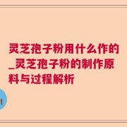 灵芝孢子粉用什么作的_灵芝孢子粉的制作原料与过程解析