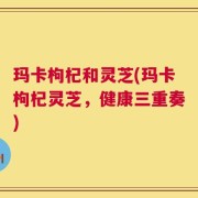 玛卡枸杞和灵芝(玛卡枸杞灵芝，健康三重奏)
