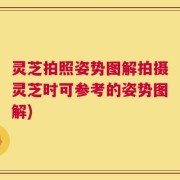 灵芝拍照姿势图解拍摄灵芝时可参考的姿势图解)
