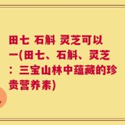 田七 石斛 灵芝可以一(田七、石斛、灵芝：三宝山林中蕴藏的珍贵营养素)