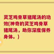 灵芝鸡骨草猪尾汤的功效(神奇的灵芝鸡骨草猪尾汤，助你深度保养身体。)