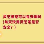 灵芝煮茶可以每天喝吗(每天饮用灵芝茶是否安全？)