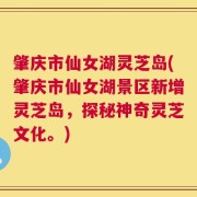 肇庆市仙女湖灵芝岛(肇庆市仙女湖景区新增灵芝岛，探秘神奇灵芝文化。)