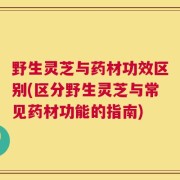 野生灵芝与药材功效区别(区分野生灵芝与常见药材功能的指南)