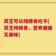 灵芝可以炖排骨吃不(灵芝炖排骨，营养健康又美味)