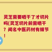灵芝需要晒干了才切片吗(灵芝切片前需晒干？闻名中医药材有细节！