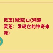 灵芝(溯源)口(溯源灵芝：发现它的神奇来源)