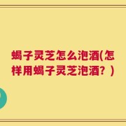 蝎子灵芝怎么泡酒(怎样用蝎子灵芝泡酒？)