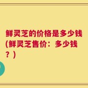 鲜灵芝的价格是多少钱(鲜灵芝售价：多少钱？)