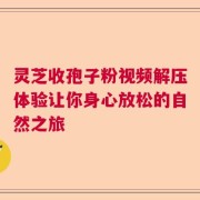 灵芝收孢子粉视频解压体验让你身心放松的自然之旅