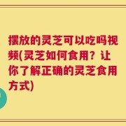 摆放的灵芝可以吃吗视频(灵芝如何食用？让你了解正确的灵芝食用方式)