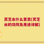 灵芝水什么意思(灵芝水的功效及用途详解)