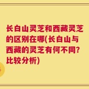 长白山灵芝和西藏灵芝的区别在哪(长白山与西藏的灵芝有何不同？比较分析)