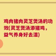 鸡肉猪肉灵芝煲汤的功效(灵芝煲汤添猪鸡，益气养身好去湿)