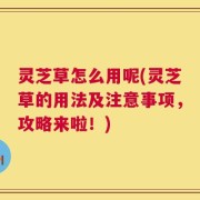 灵芝草怎么用呢(灵芝草的用法及注意事项，攻略来啦！)