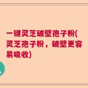 一键灵芝破壁孢子粉(灵芝孢子粉，破壁更容易吸收)