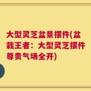 大型灵芝盆景摆件(盆栽王者：大型灵芝摆件尊贵气场全开)