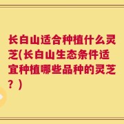 长白山适合种植什么灵芝(长白山生态条件适宜种植哪些品种的灵芝？)