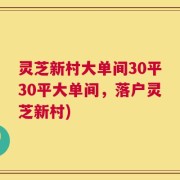 灵芝新村大单间30平30平大单间，落户灵芝新村)