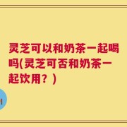 灵芝可以和奶茶一起喝吗(灵芝可否和奶茶一起饮用？)
