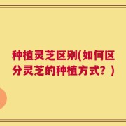 种植灵芝区别(如何区分灵芝的种植方式？)