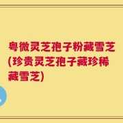 粤微灵芝孢子粉藏雪芝(珍贵灵芝孢子藏珍稀藏雪芝)