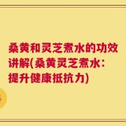 桑黄和灵芝煮水的功效讲解(桑黄灵芝煮水：提升健康抵抗力)