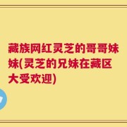 藏族网红灵芝的哥哥妹妹(灵芝的兄妹在藏区大受欢迎)