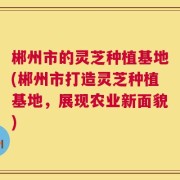 郴州市的灵芝种植基地(郴州市打造灵芝种植基地，展现农业新面貌)