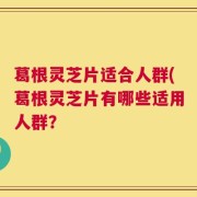 葛根灵芝片适合人群(葛根灵芝片有哪些适用人群？