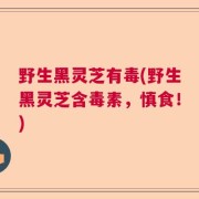 野生黑灵芝有毒(野生黑灵芝含毒素,慎食!)