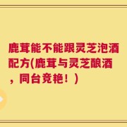 鹿茸能不能跟灵芝泡酒配方(鹿茸与灵芝酿酒，同台竞艳！)