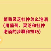 葡萄灵芝杜仲怎么泡酒(用葡萄、灵芝和杜仲泡酒的步骤和技巧)