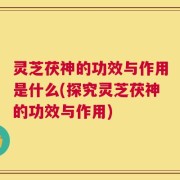 灵芝茯神的功效与作用是什么(探究灵芝茯神的功效与作用)