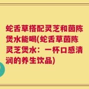 蛇舌草搭配灵芝和茵陈煲水能喝(蛇舌草茵陈灵芝煲水：一杯口感清润的养生饮品)