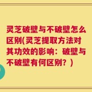 灵芝破壁与不破壁怎么区别(灵芝提取方法对其功效的影响：破壁与不破壁有何区别？)