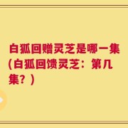 白狐回赠灵芝是哪一集(白狐回馈灵芝：第几集？)