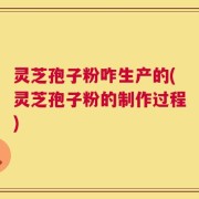 灵芝孢子粉咋生产的(灵芝孢子粉的制作过程)