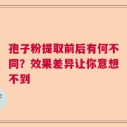 孢子粉提取前后有何不同？效果差异让你意想不到