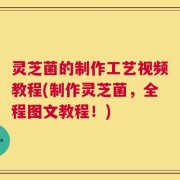 灵芝菌的制作工艺视频教程(制作灵芝菌，全程图文教程！)