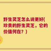 野生灵芝怎么说更好(珍贵的野生灵芝，它的价值何在？)