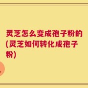 灵芝怎么变成孢子粉的(灵芝如何转化成孢子粉)