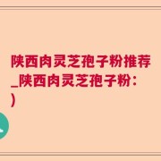 陕西肉灵芝孢子粉推荐_陕西肉灵芝孢子粉：)