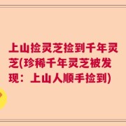 上山捡灵芝捡到千年灵芝(珍稀千年灵芝被发现：上山人顺手捡到)