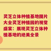 灵芝立体种植基地图片大全灵芝种植园的视觉盛宴：展现灵芝立体种植基地的绝美全景