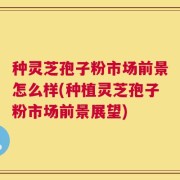 种灵芝孢子粉市场前景怎么样(种植灵芝孢子粉市场前景展望)