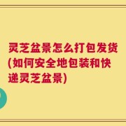 灵芝盆景怎么打包发货(如何安全地包装和快递灵芝盆景)