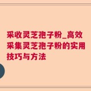 采收灵芝孢子粉_高效采集灵芝孢子粉的实用技巧与方法