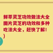 鲜萃灵芝功效做法大全图片灵芝的功效和多种吃法大全，赶快了解！)