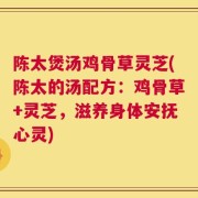 陈太煲汤鸡骨草灵芝(陈太的汤配方：鸡骨草+灵芝，滋养身体安抚心灵)